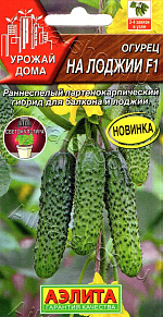 Огурец На лоджии F1 10шт