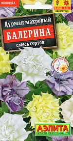 Дурман махровый Балерина, смесь сортов 3шт