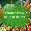 Черная пятница: скидки 10% на семена и 5% на весь остальной ассортимент!