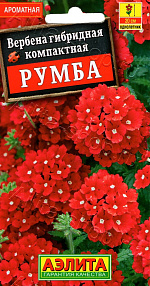 Вербена Румба 30шт