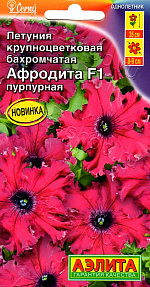 Петуния Афродита F1 пурпурная крупноцветковая бахромчатая 7шт