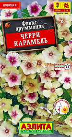 Флокс друммонда Черри карамель 20шт