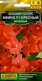 Бальзамин Афина F1 красный махровый