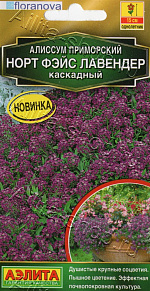 Алиссум Норт фэйс лавендер каскадный 10шт