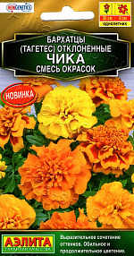 Бархатцы Чика отклоненные, смесь сортов 7шт