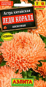 Астра Леди Коралл лососевая 25шт