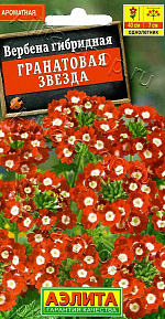 Вербена Гранатовая звезда 30шт