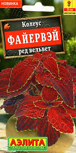 Колеус Файервэй ред вельвет 5шт