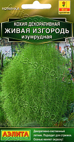 Кохия Живая изгородь изумрудная 0,1г