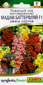 Львиный зев Мадам баттерфляй F1, смесь сортов 7шт