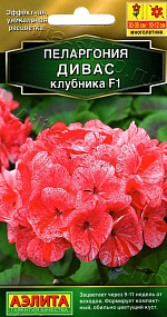 Пеларгония Дивас F1 клубника 3шт