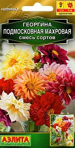 Георгина Подмосковная махровая, смесь сортов 10шт