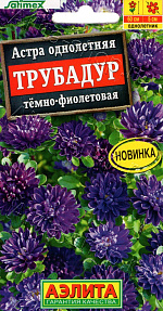 Астра Трубадур тёмно-фиолетовая 20шт