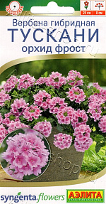 Вербена Тускани орхид фрост 5шт