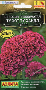 Целозия гребенчатая Ту хот ту хандл пурпл 5шт