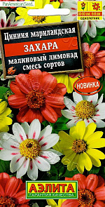 Цинния Захара малиновый лимонад, смесь сортов 5шт