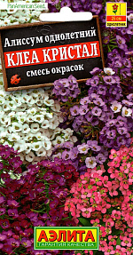 Алиссум Клеа кристал, смесь сортов 4шт