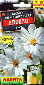 Космея Аполло вайт 5шт