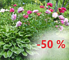 Весенний сезон скидок: -50% на саженцы и луковицы цветов!