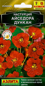 Настурция Айседора Дункан 1г